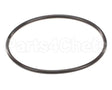 151121 Everpure Costguard O-Ring