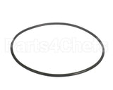 151122 Everpure O-Ring Epdm Bb Upc
