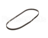 152227 Stoelting Belt Poly-V 34In Long 6 Groove