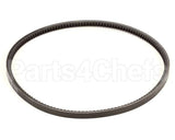 152237 Stoelting Belt