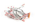 153338 Groen Harness, Ssb-G Forward