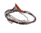 153843 Groen Harness, Ssb-10E Rear