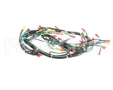155506 Groen St-4G & St-6G W/ Float 24Vac Harness