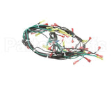 155506 Groen St-4G & St-6G W/ Float 24Vac Harness