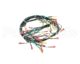 155506 Groen St-4G & St-6G W/ Float 24Vac Harness