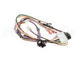 156178 Duke Harness,Renau 4X3 Main