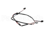 156755 Duke Harness,Timer Bar 3Wide Short