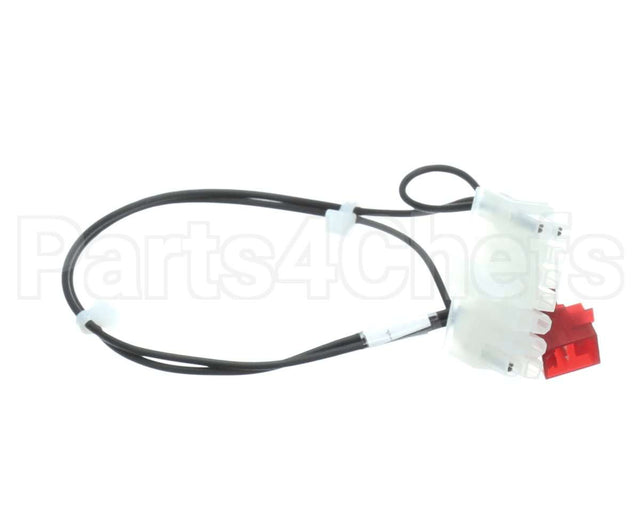 157910 Duke Fwm Rtd Harness