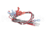157935 Duke Harness,Wire Main Fwm