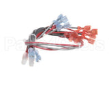 157935 Duke Harness,Wire Main Fwm