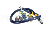 16100KIT72 Dormont 1 Dia., 72 Blue Hose, Snapfast, Full Por