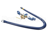 16125KIT2S60 Dormont 1-1/4 Dia., 60 Blue Hose, Snapfast, 2 Sw