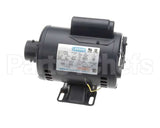 164184-001 Henny Penny Pump Motor