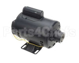 164184-001 Henny Penny Pump Motor
