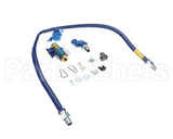 1650KITCFS60 Dormont 1/2 Dia., 60 Blue Hose, Safety Quik, Swi