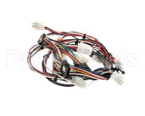 165931 Duke Harness,Lo-Voltage Muhc