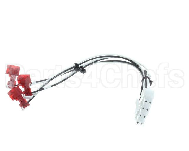 165945 Duke Harness
