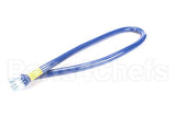 1675BP60 Dormont Blue Hose, 3/4 Dia, 60 L