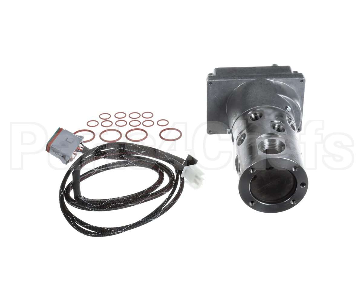 170144-001 Henny Penny Svc Pack-Eeg 10 Port Sel Valve
