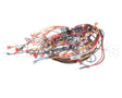 170908 Groen Harness, Intek Electric, Manual Fill