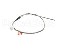 174852 Groen Rtd Probe, Electric Braising Pan