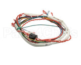 175288 Groen Wire Harness,Control Low Voltage, Gas