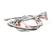 175608 Duke Harness,Wire Line Voltage