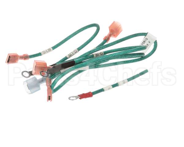 175610 Duke Harness,Wire Ground