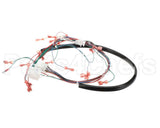 175759 Duke Harness,Wiring Low Volt.ce Fbb