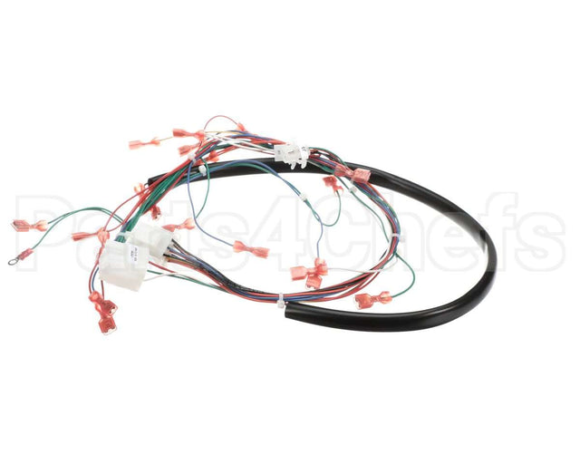 175759 Duke Harness,Wiring Low Volt.ce Fbb