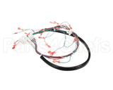175759 Duke Harness,Wiring Low Volt.ce Fbb