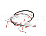 175759 Duke Harness,Wiring Low Volt.ce Fbb