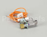 1758901 Garland Pilot Nat Electronic
