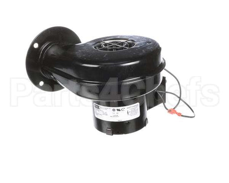 176431 Duke Blower,Asy Terminated