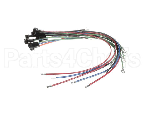 177599 Duke Harness,Fuses & Element Plugs