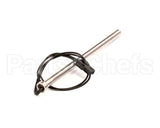17TAN25 Cafection Temperature Probe