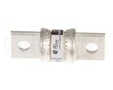 180059 Champion - Moyer Diebel Fuse T 80A 250V Fast Act
