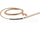 18228 Compatible Blodgett Probe