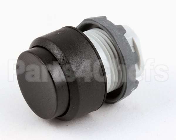 18295 Blodgett Switch, Pushbutton Momentary