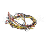18351 Blodgett Harness,Wiring Inf/8Stpt 2Sp