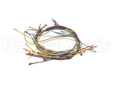 18355 Blodgett Harness, Wiring Inf/8 Stpt