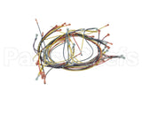 18355 Blodgett Harness, Wiring Inf/8 Stpt