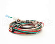 1859807 Garland Platen Wire Harness-Std