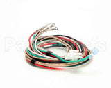 1859807 Garland Platen Wire Harness-Std
