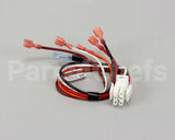 1859833 Garland Switch Harness Gas/Elect