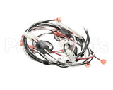 1859850 Garland 120V Harness
