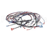 1859854 Garland Ignition Harness