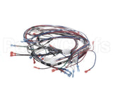 1859854 Garland Ignition Harness
