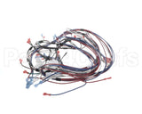 1859854 Garland Ignition Harness