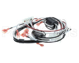 1859861 Garland 120 Volt Harness